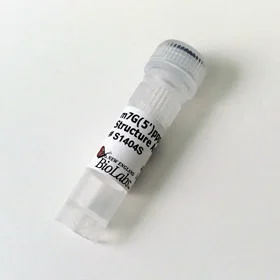 dabos-1202607140334481168661