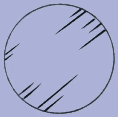 dabos-1202607142210041271040