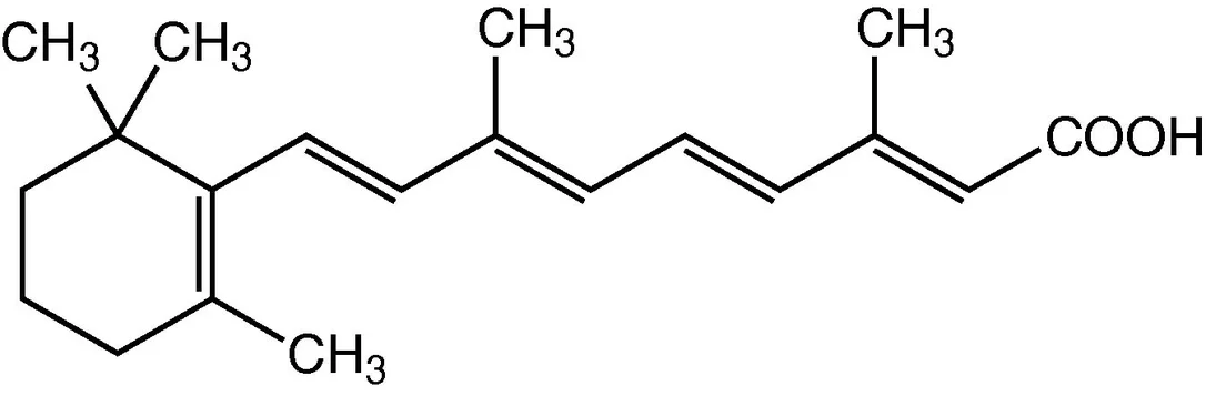 dabos-220260712030711900826