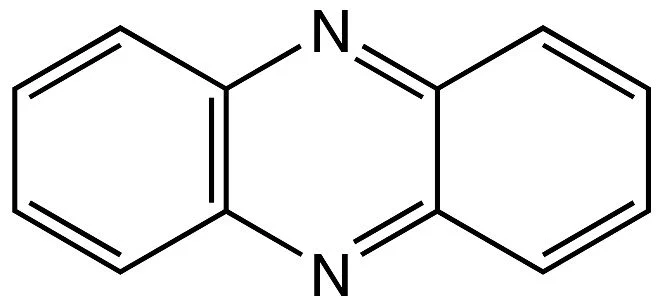 dabos-220260712044149908354