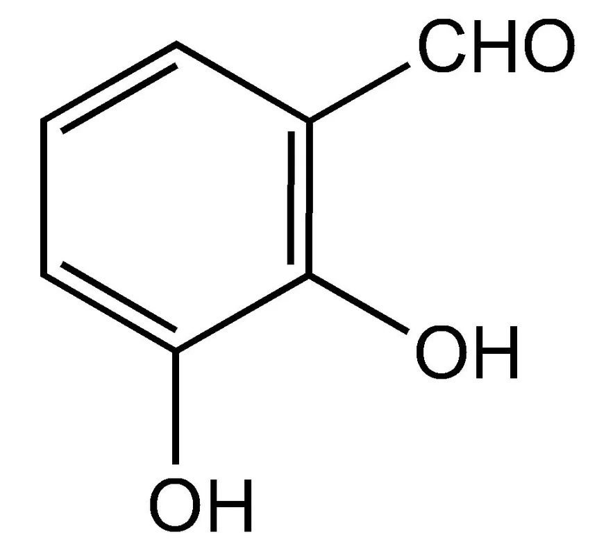 dabos-220260712085406936864