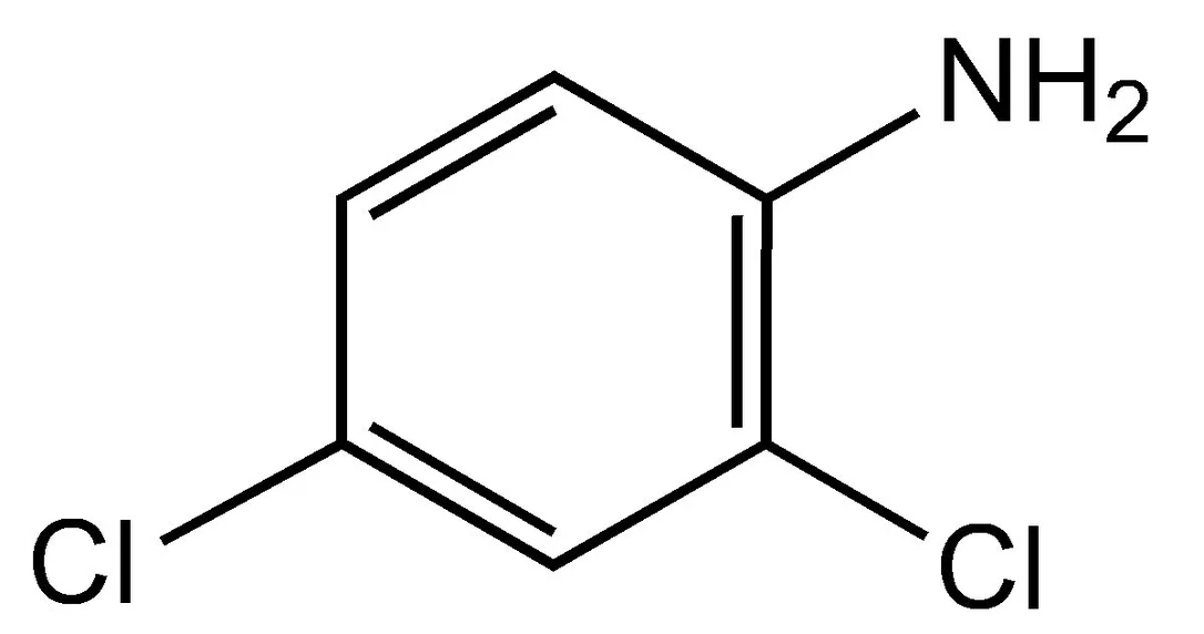 dabos-220260712125427962860