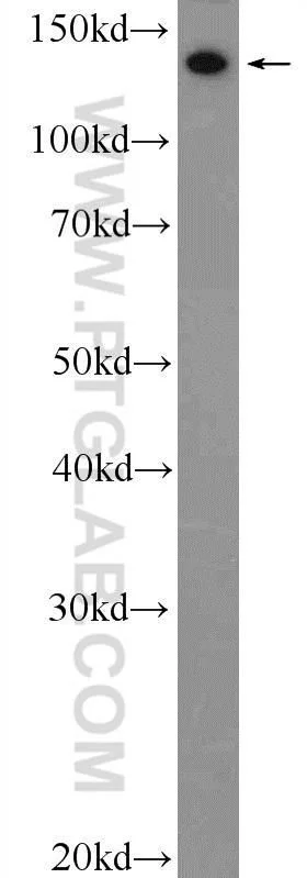 dabos-2202607132043201133336
