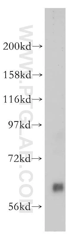dabos-2202607132109121136386