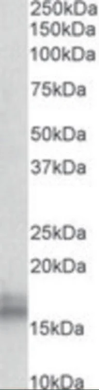 dabos-2202607132111151136608
