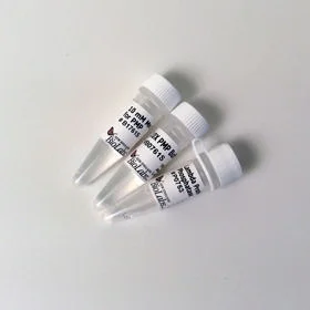 dabos20260711220315876345