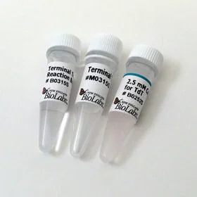 dabos20260711220329876363