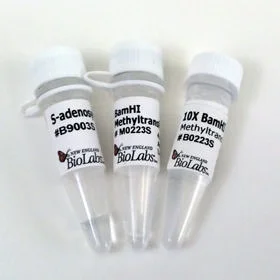 dabos20260711220944876918