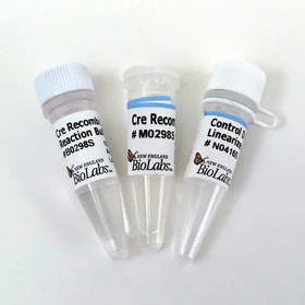 dabos20260711221044877003