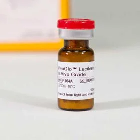 dabos20260711221333877245