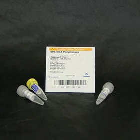 dabos20260711221406877288
