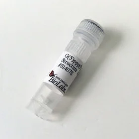 dabos20260712030854900979