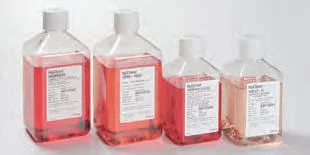 dabos202607122118061015301