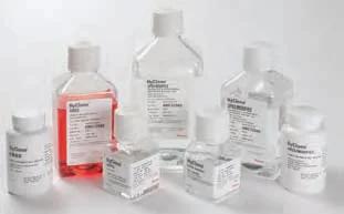 dabos202607122202351020111