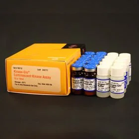 dabos202607130007341034195