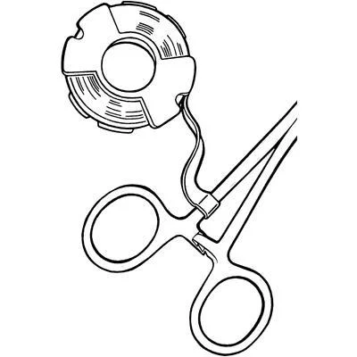 dabos202607130436091056211