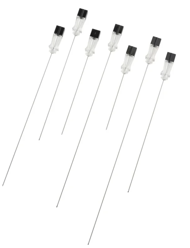 dabos202607130446011056935