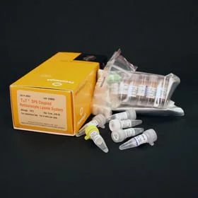 dabos202607132332241150997