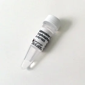 dabos202607140027301154394