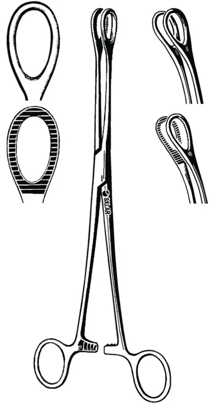 dabos202607140434171173537
