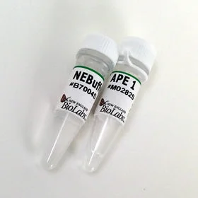 dabos202607140556151179658