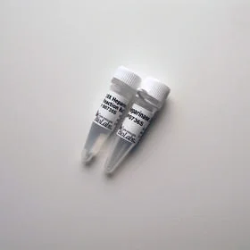 dabos202607140559391179909