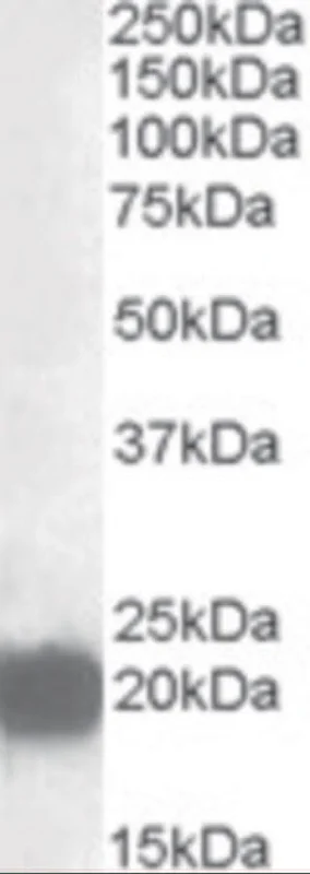 dabos202607141537401229245