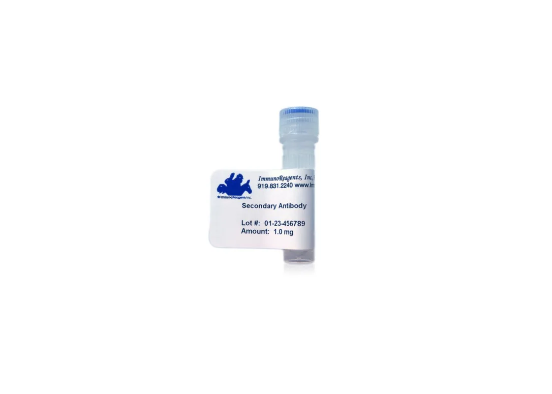 dabos202607141545281229893