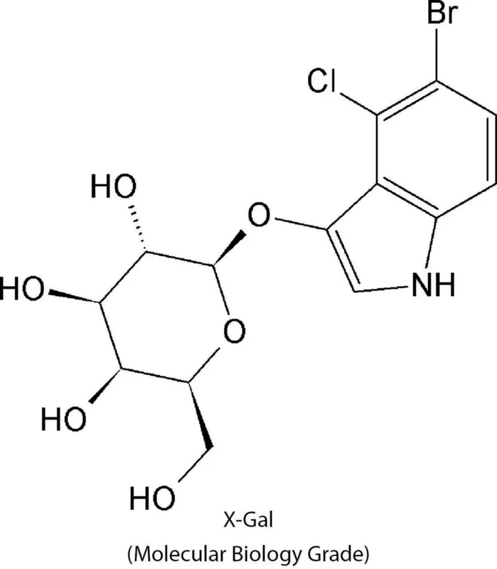dabos202607150012091289121