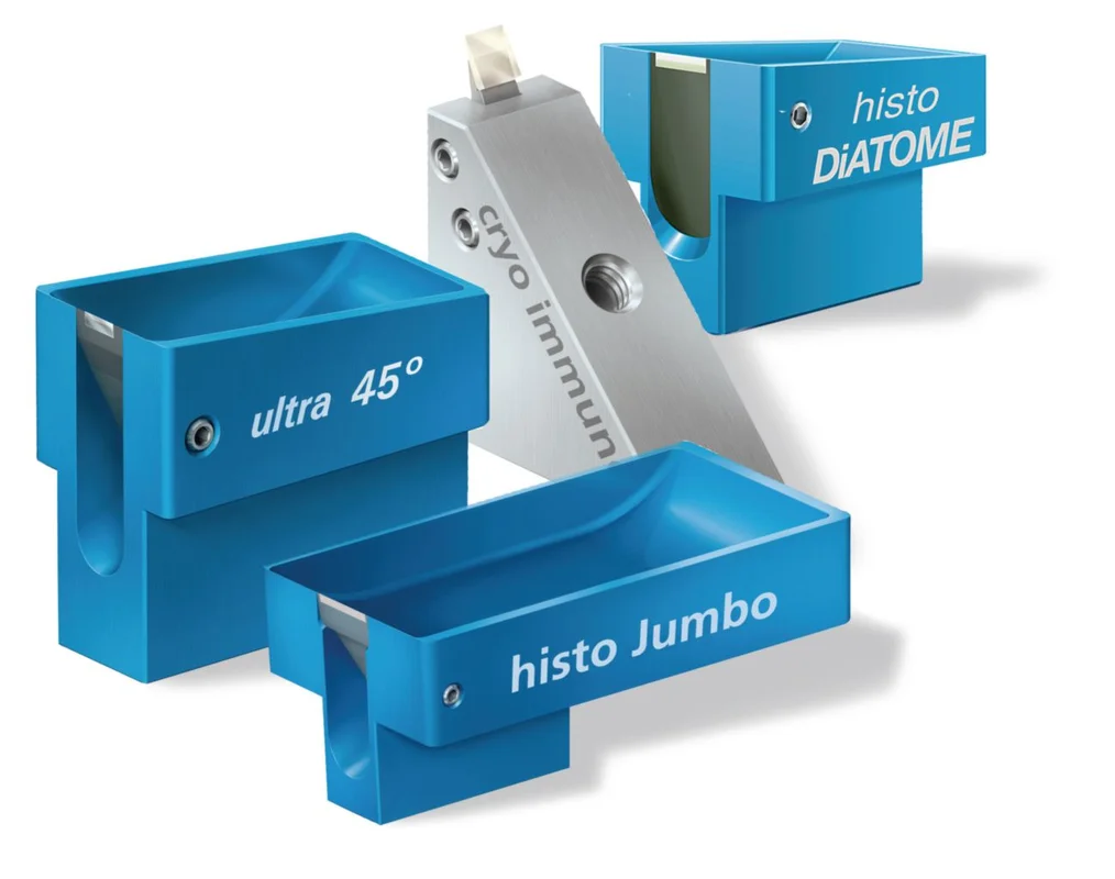 dabos202607150302121317998
