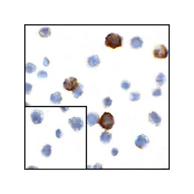 geneseesci20260711211805872472