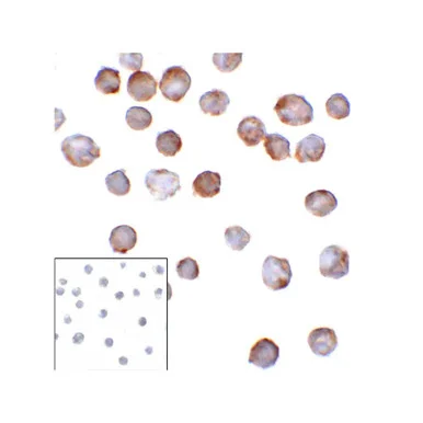 geneseesci20260711215154875348