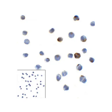 geneseesci20260711222014877804