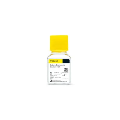 geneseesci20260712022407897154
