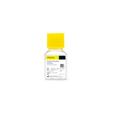 geneseesci20260712040633905691