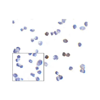 geneseesci20260712045204909276