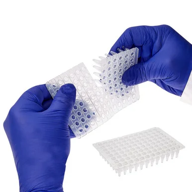geneseesci20260712075223929584