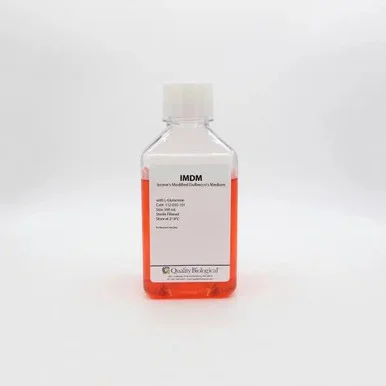 geneseesci20260712083916935402