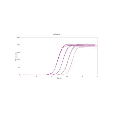 geneseesci20260712110242950763