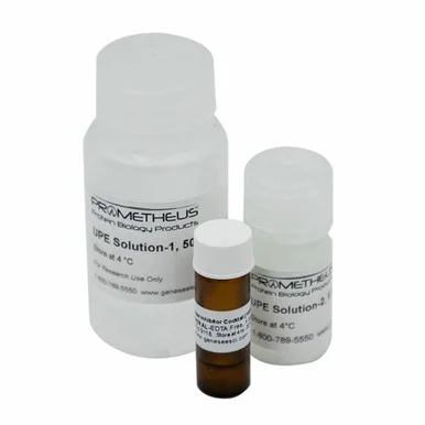 geneseesci20260712145309975624