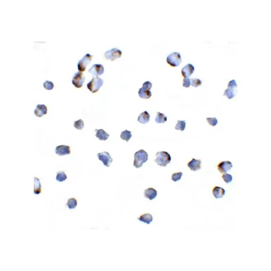 geneseesci20260712154354980622