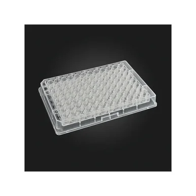 geneseesci202607122032241010090