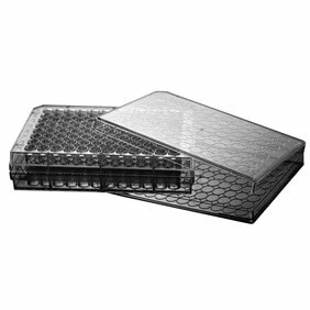 ibisscientific20260712063030919613