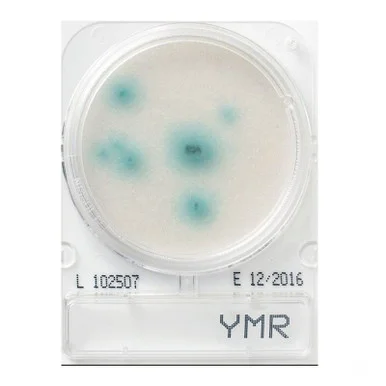 ibisscientific20260712073725927680