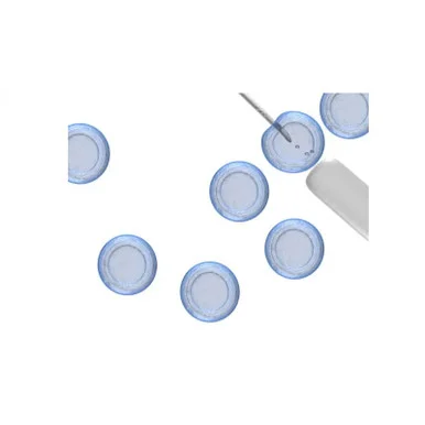 ibisscientific20260712074424928549