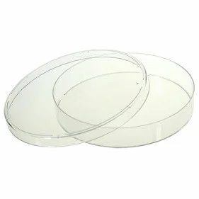 ibisscientific20260712080912931745