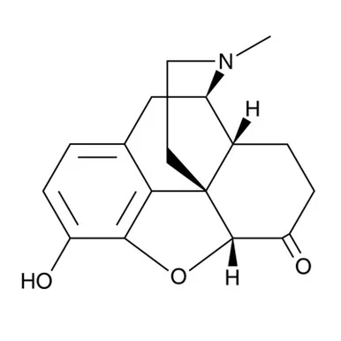 ibisscientific20260712081735932793