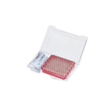 ibisscientific20260712083402934867
