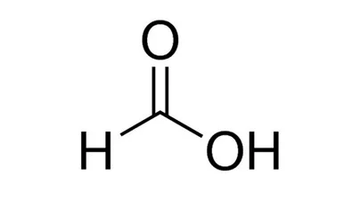 ibisscientific20260712085731937180