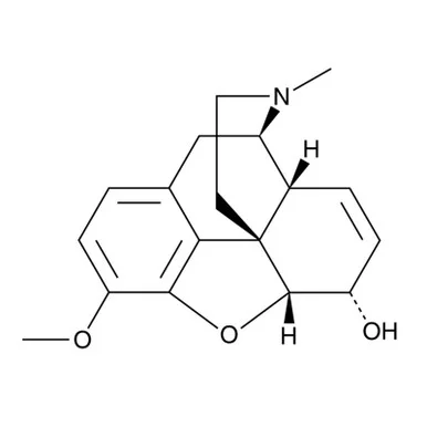ibisscientific20260712095442943088